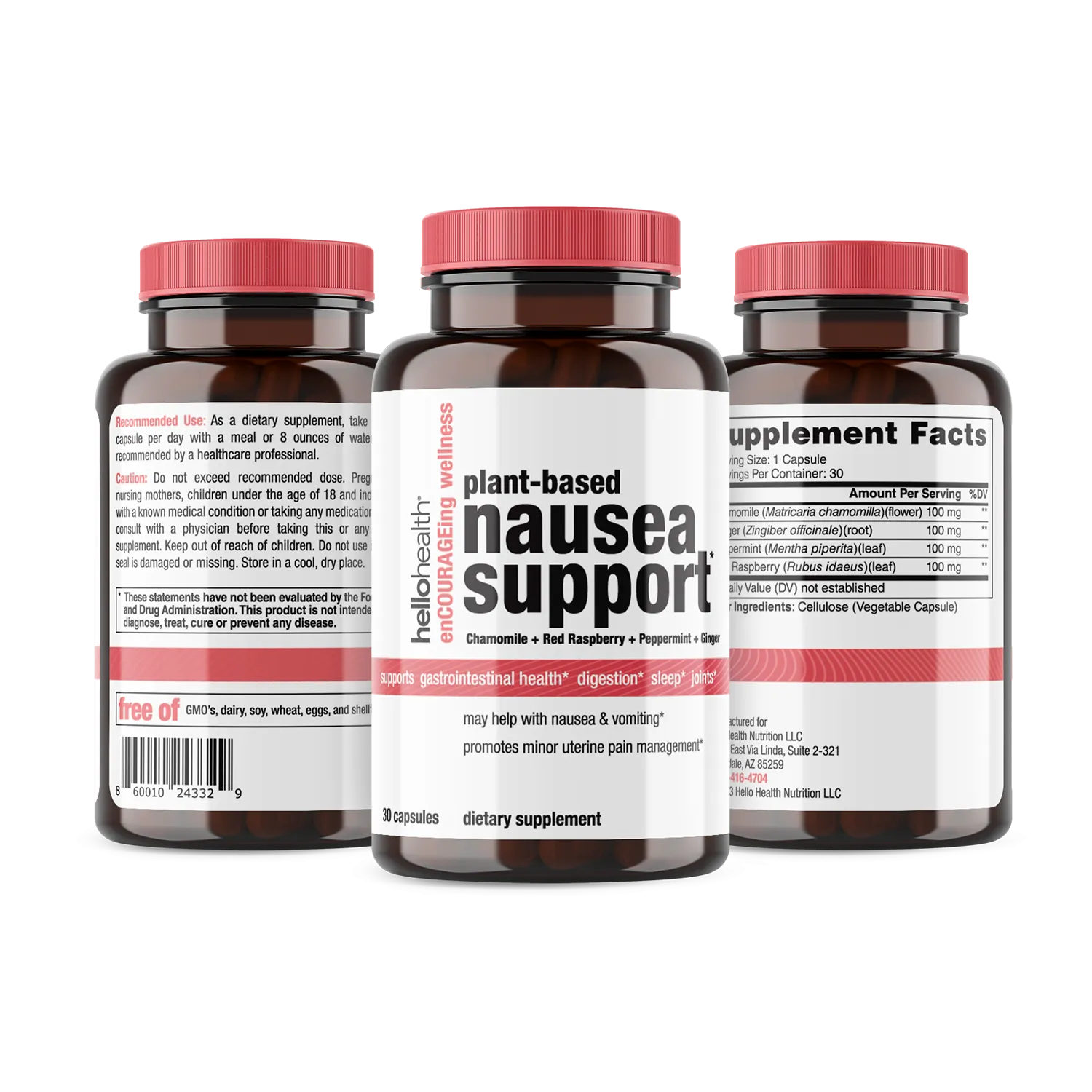 Plant-based Nausea Support
